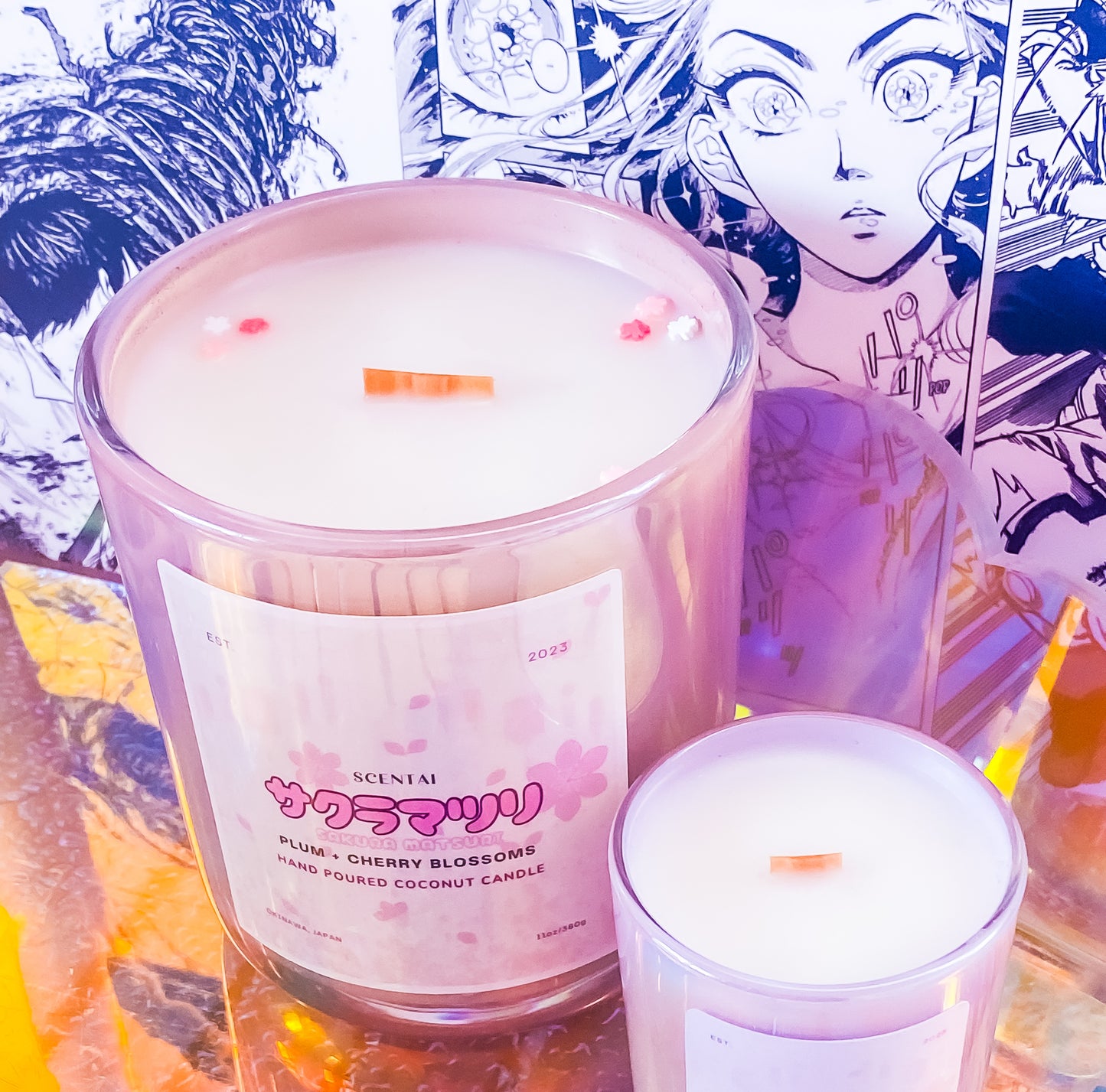 Sakura Matsuai 桜まつり