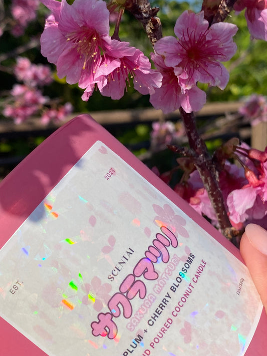 Sakura Matsuai 桜まつり