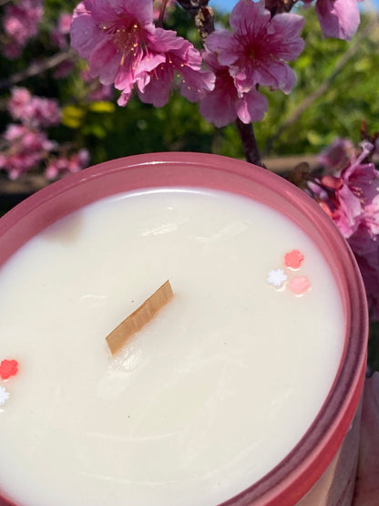 Sakura Matsuai 桜まつり