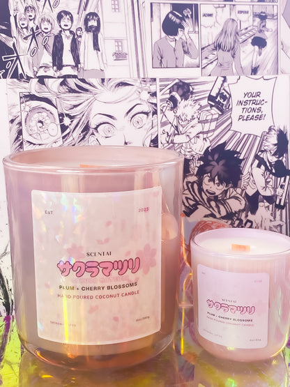 Sakura Matsuai 桜まつり